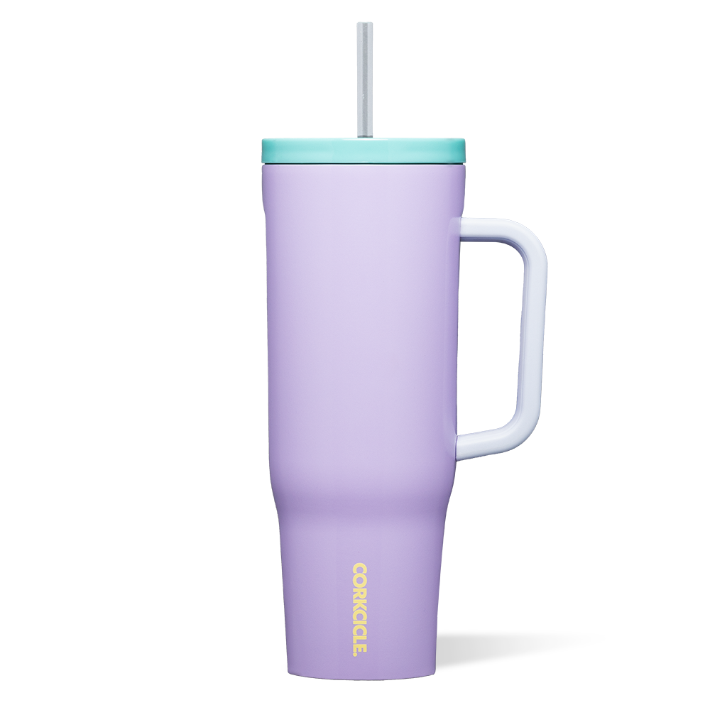 cruiser-e3 2240PURPLEDOLPHIN-1.png