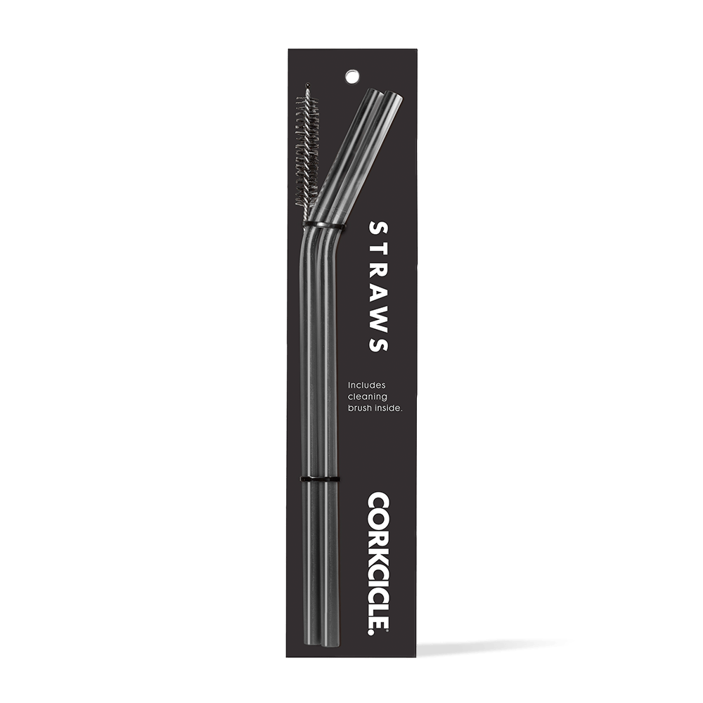 tumbler-straw-2-pack-b0 gunmetal.png